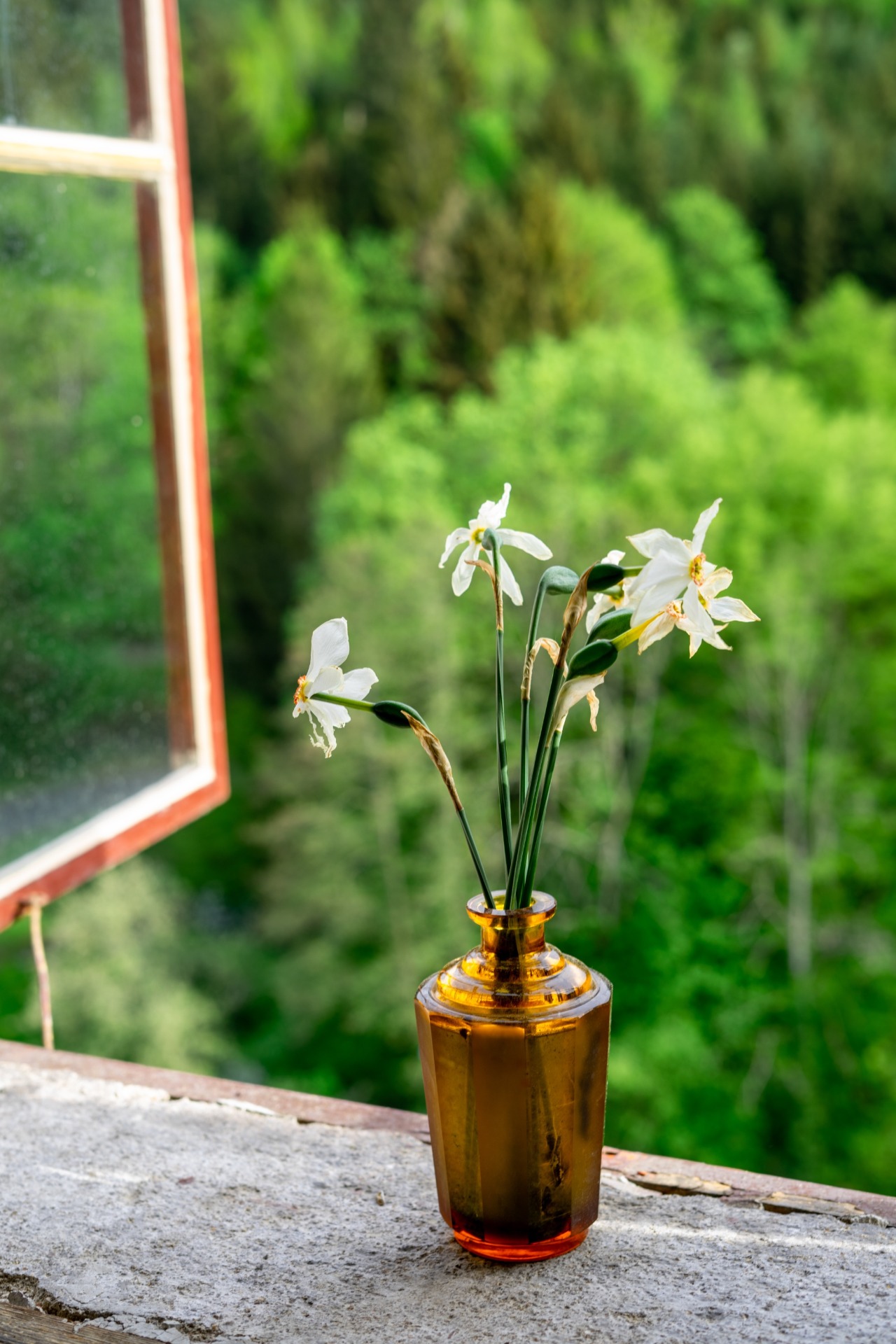 Fotografie 10 projektu Za/hradní slavnosti na hradě Pirkštejn