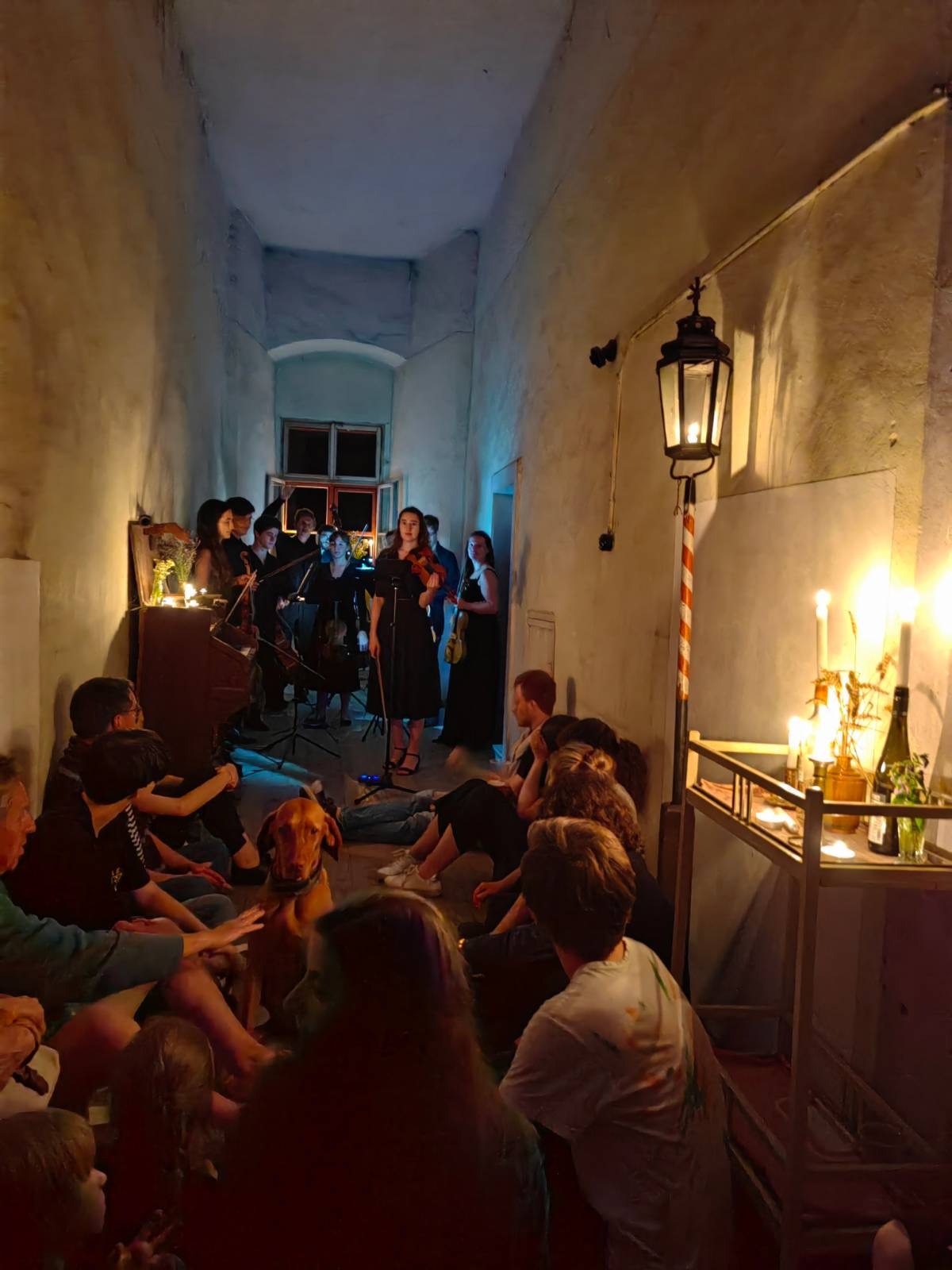 Fotografie 18 projektu Za/hradní slavnosti na hradě Pirkštejn